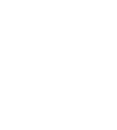 Πλεύση Ελευθερίας