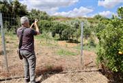 Σοκάρει η ιατροδικαστική έκθεση για τη δολοφονία της Σταυρούλας Λεβεντάκη - Ήταν δεμένη χειροπόδαρα και με το στόμα σφραγισμένο