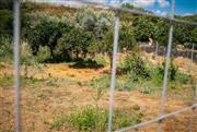 Δολοφονία Σταυρούλας Λεβεντάκη: Το σβησμένο βίντεο που «έκαψε» τον δράστη - Πώς το εντόπισε η ΕΛΑΣ