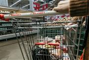 Τι αποκαλύπτει το «PosoKanei»: Από 0,86€ έως 2,85€ για το ίδιο προϊόν στα σούπερ μάρκετ... και ύποπτα «καρτέλ»