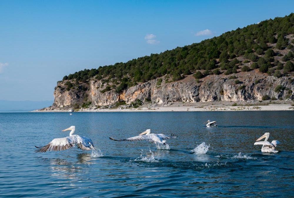 Πρέσπες Πρέσπες