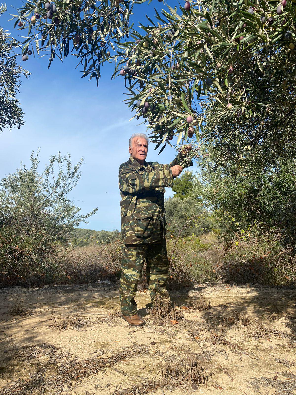 Παναγιώτης Ψωμιάδης Παναγιώτης Ψωμιάδης