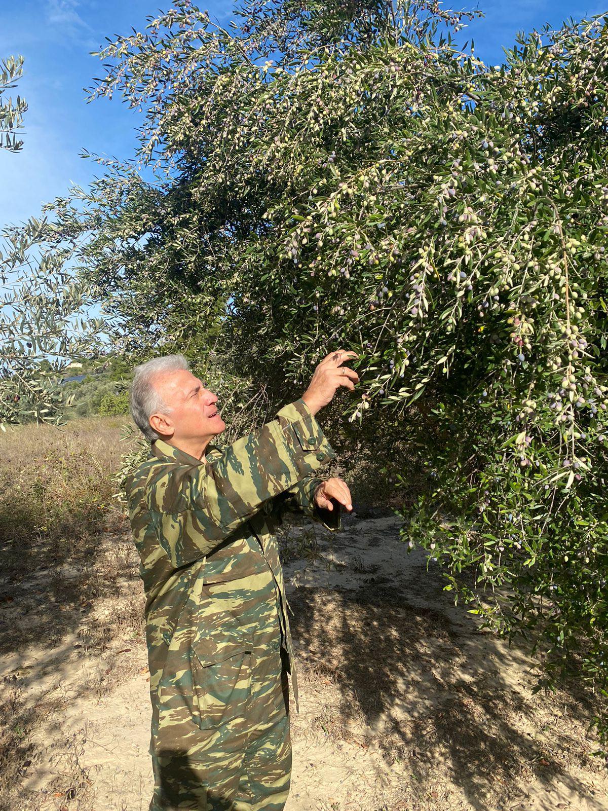 Παναγιώτης Ψωμιάδης Παναγιώτης Ψωμιάδης