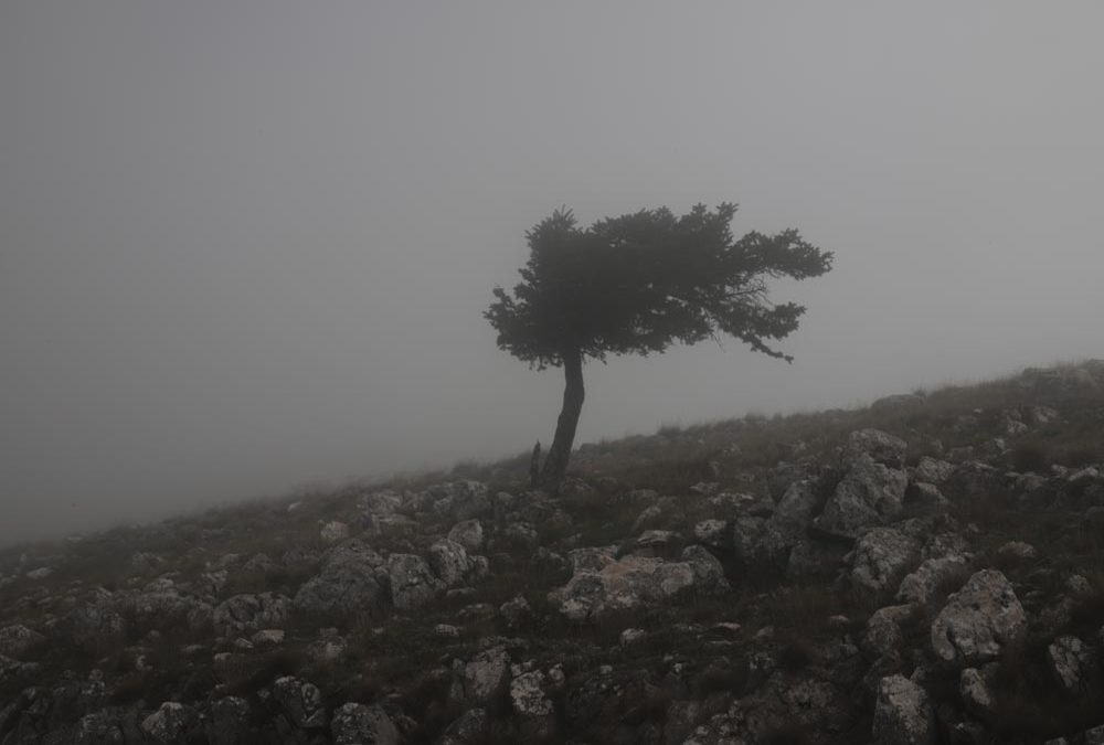Κιθαιρώνας Κιθαιρώνας