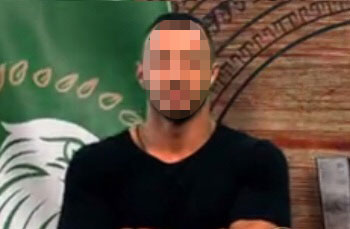 pygmahos.jpg pygmahos.jpg