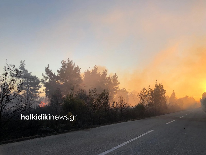 halk2.jpg Φωτιά στη Σιθωνία