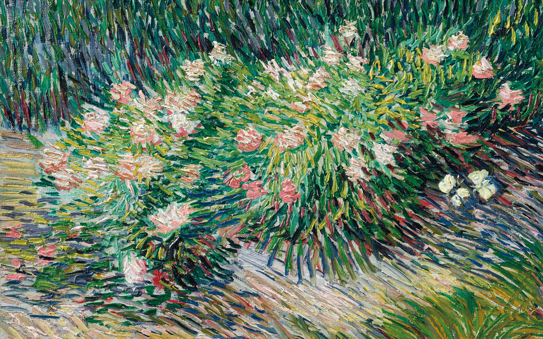 van-gogh.jpg van-gogh.jpg