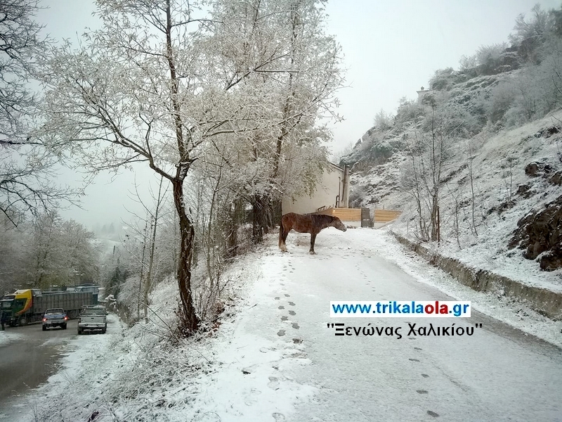 xionia-2.jpg χιόνια
