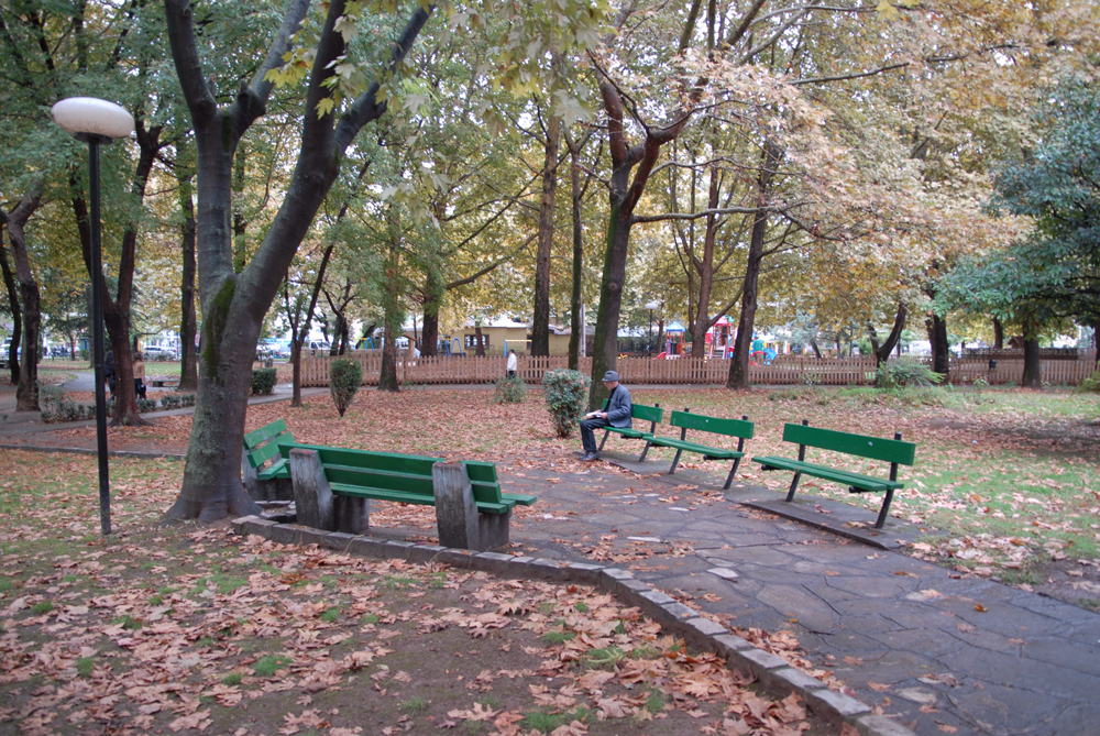 dsc_0018.jpg dsc_0018.jpg
