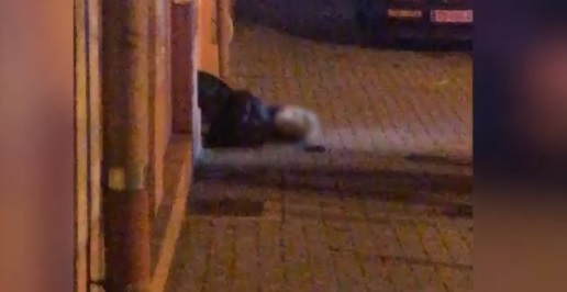 makellaris_strasbourg2.jpg makellaris_strasbourg2.jpg