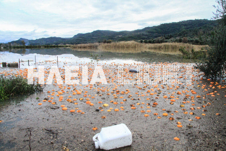 ilia-portokalia.jpg Ηλεία, κακοκαιρία