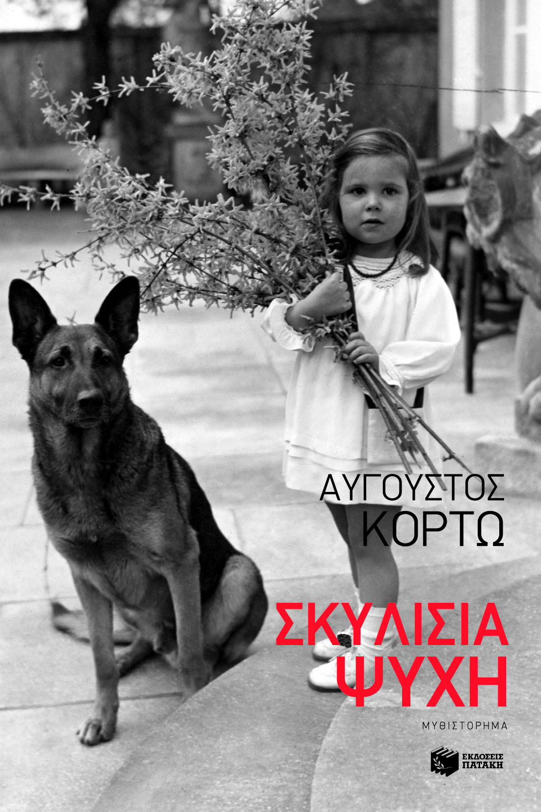 dog-soul.jpg