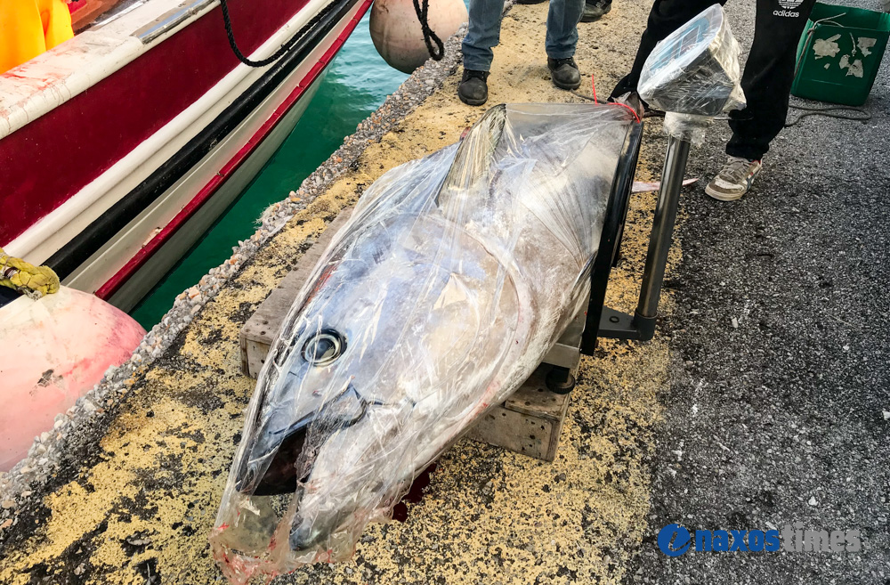 tonoi-fish-naxos-2.jpg tonoi-fish-naxos-2.jpg
