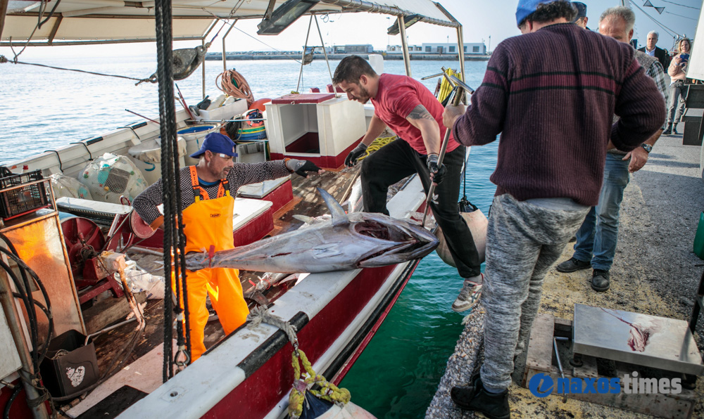 tonoi-fish-naxos-6.jpg tonoi-fish-naxos-6.jpg