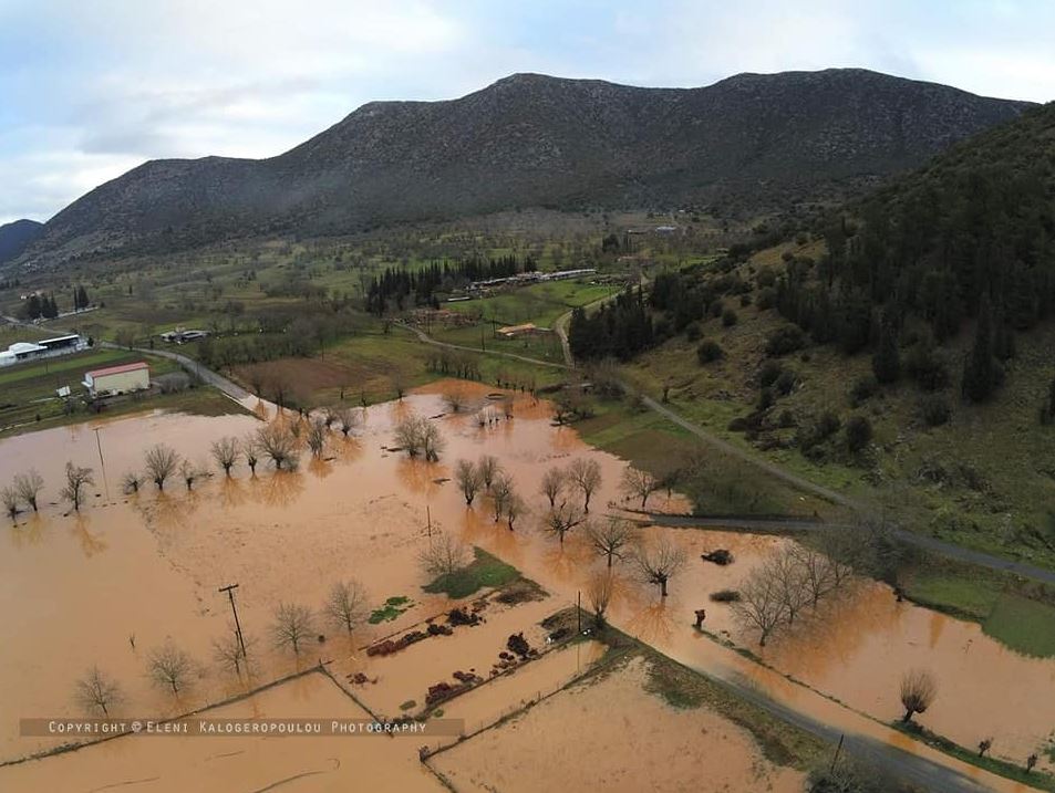 xorio-4.jpg xorio-4.jpg