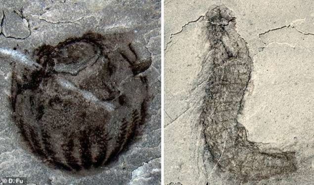 apolithomata-zwwn1-22-3-2019_iefimerida.jpg apolithomata-zwwn1-22-3-2019_iefimerida.jpg