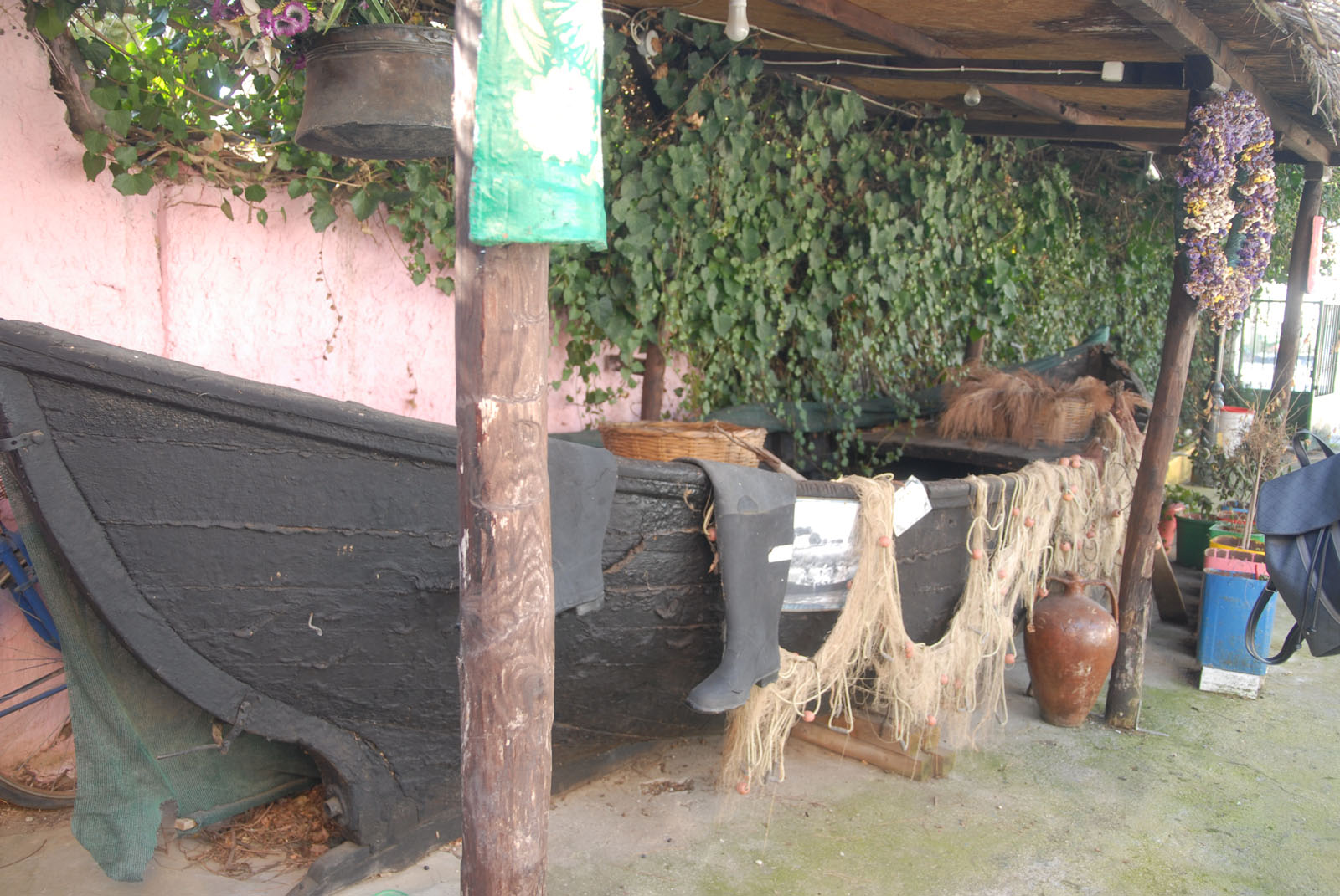 dsc_0078.jpg dsc_0078.jpg