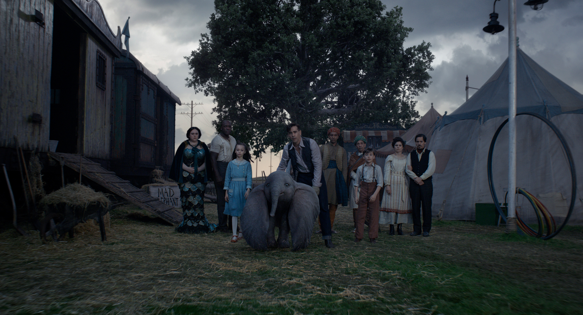 dumbo-familyties.jpg dumbo-familyties.jpg