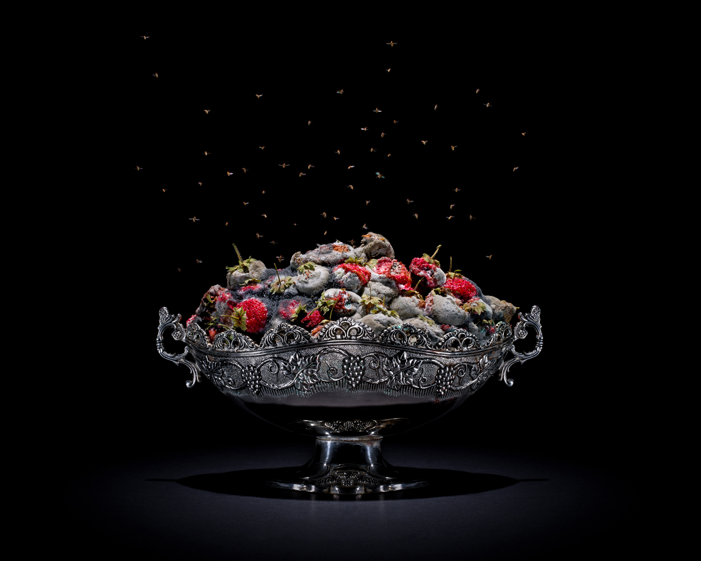 foodrevolution_gewerbemuswthur_pichler_erdbeeren_300dpia5.jpg foodrevolution_gewerbemuswthur_pichler_erdbeeren_300dpia5.jpg
