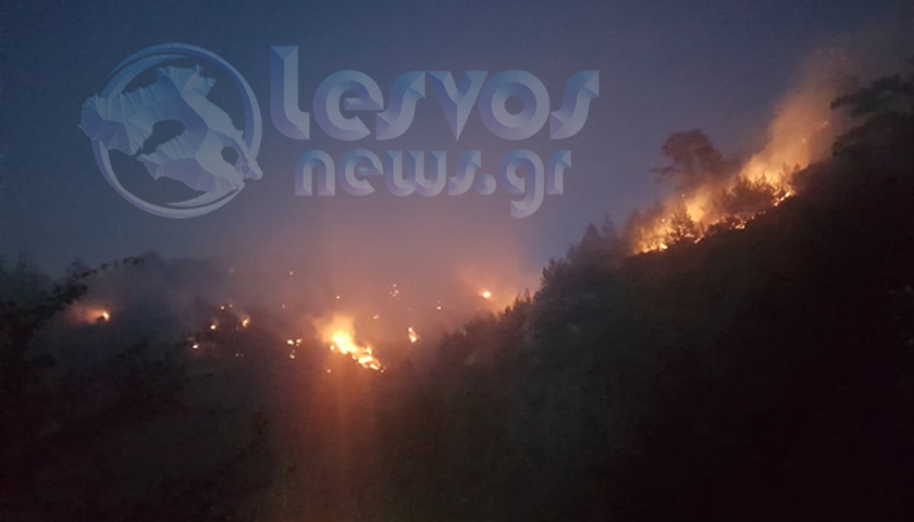 fotia2.jpg Φωτιά στη Λέσβο