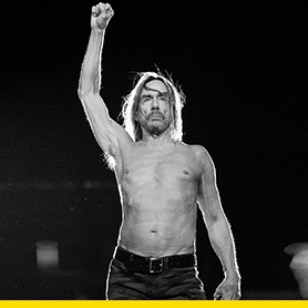 iggy_pop_2.png iggy_pop_2.png
