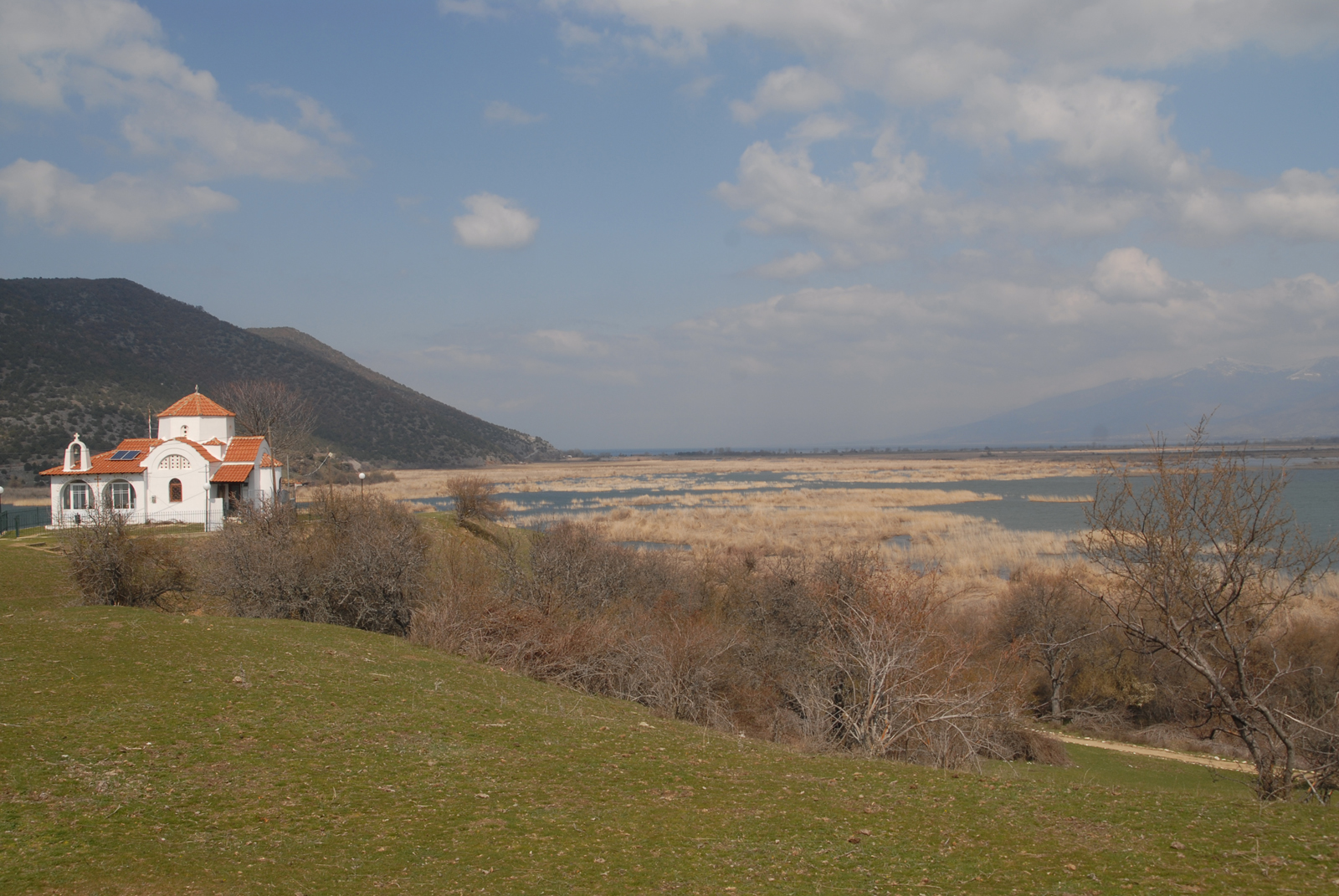 dsc_0103.jpg dsc_0103.jpg