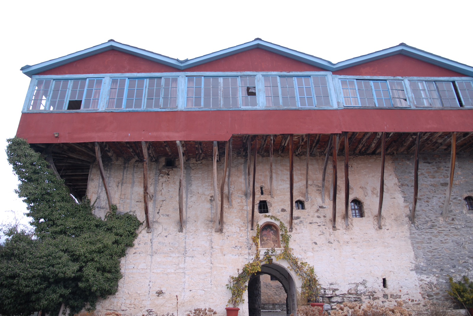 dsc_0156.jpg dsc_0156.jpg