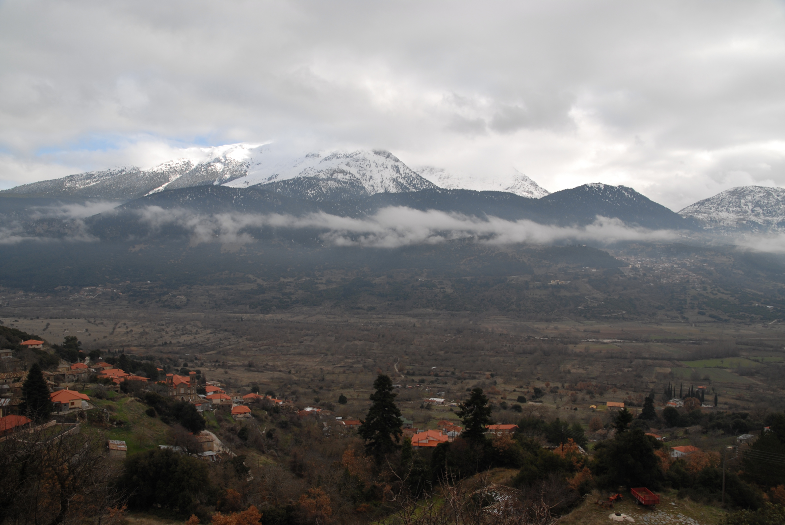 dsc_0200.jpg dsc_0200.jpg