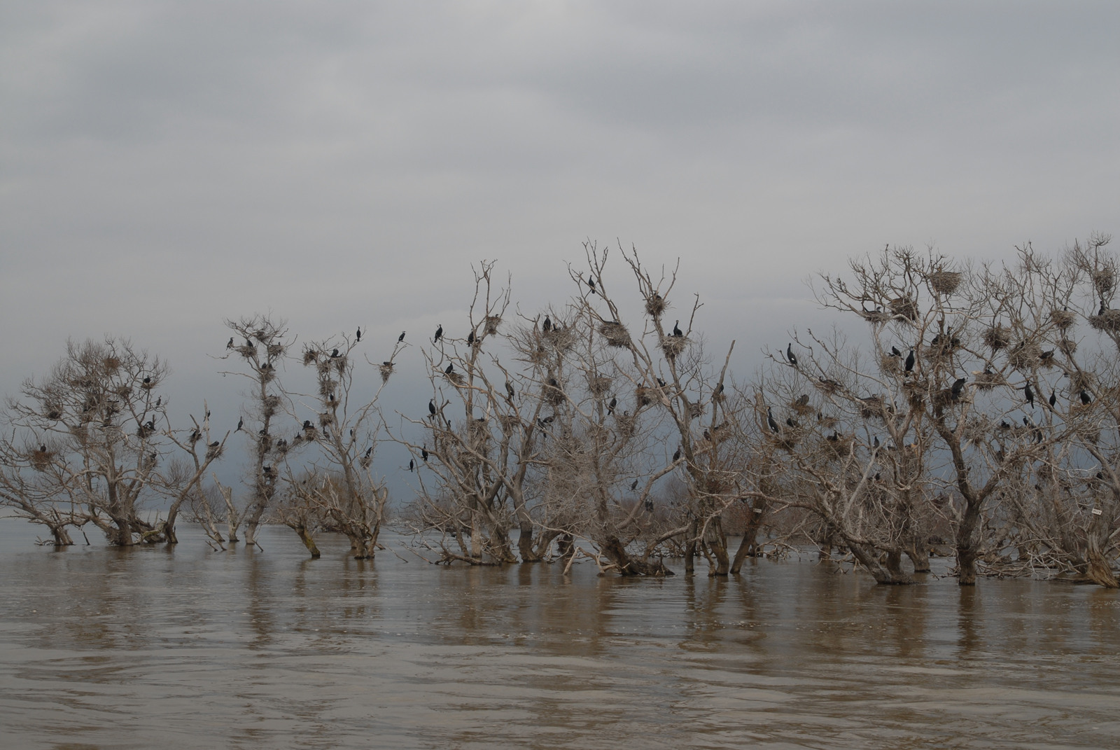 dsc_0232.jpg dsc_0232.jpg