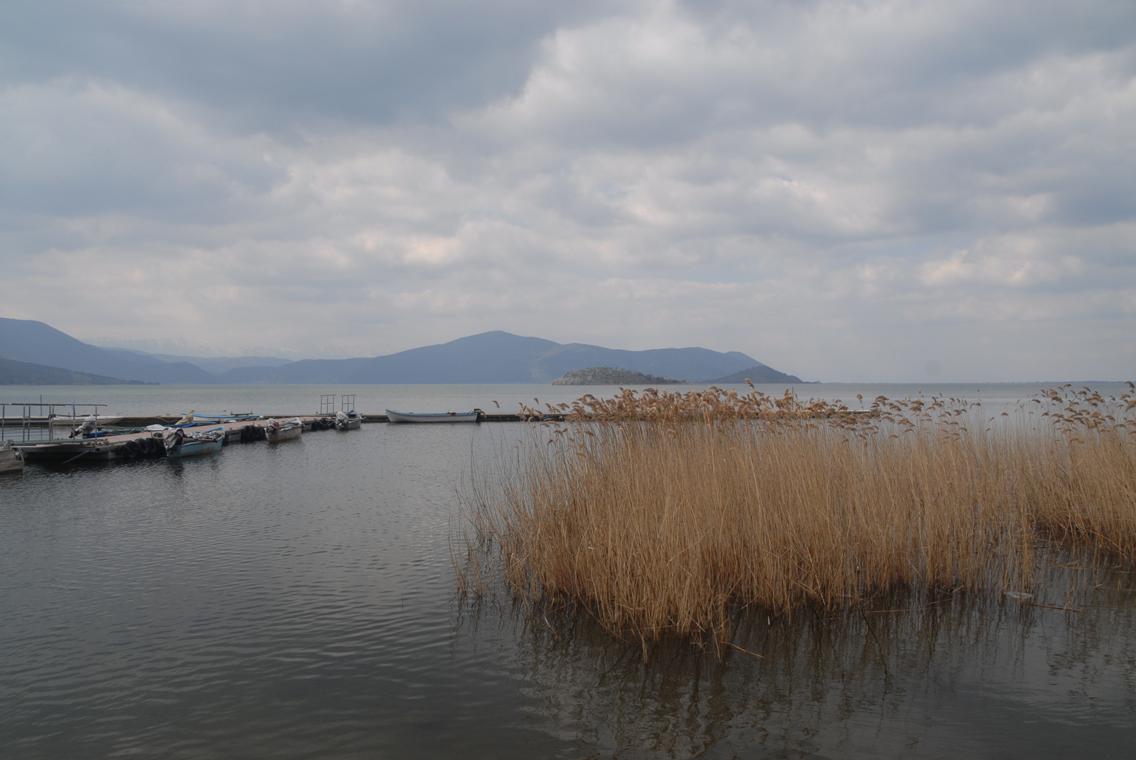 dsc_0275.jpg dsc_0275.jpg
