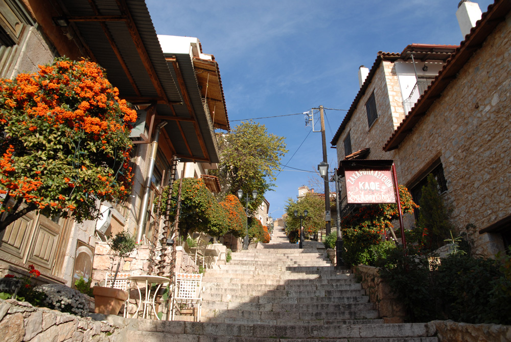 dsc_0290.jpg dsc_0290.jpg