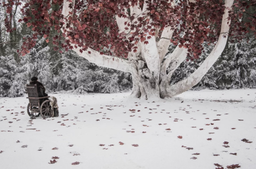 hbo-bran-tree.jpg hbo-bran-tree.jpg