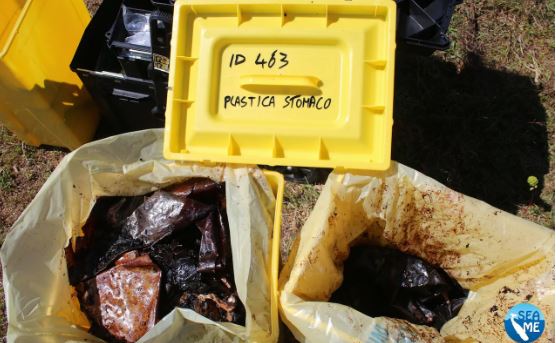 plastika.jpg plastika.jpg