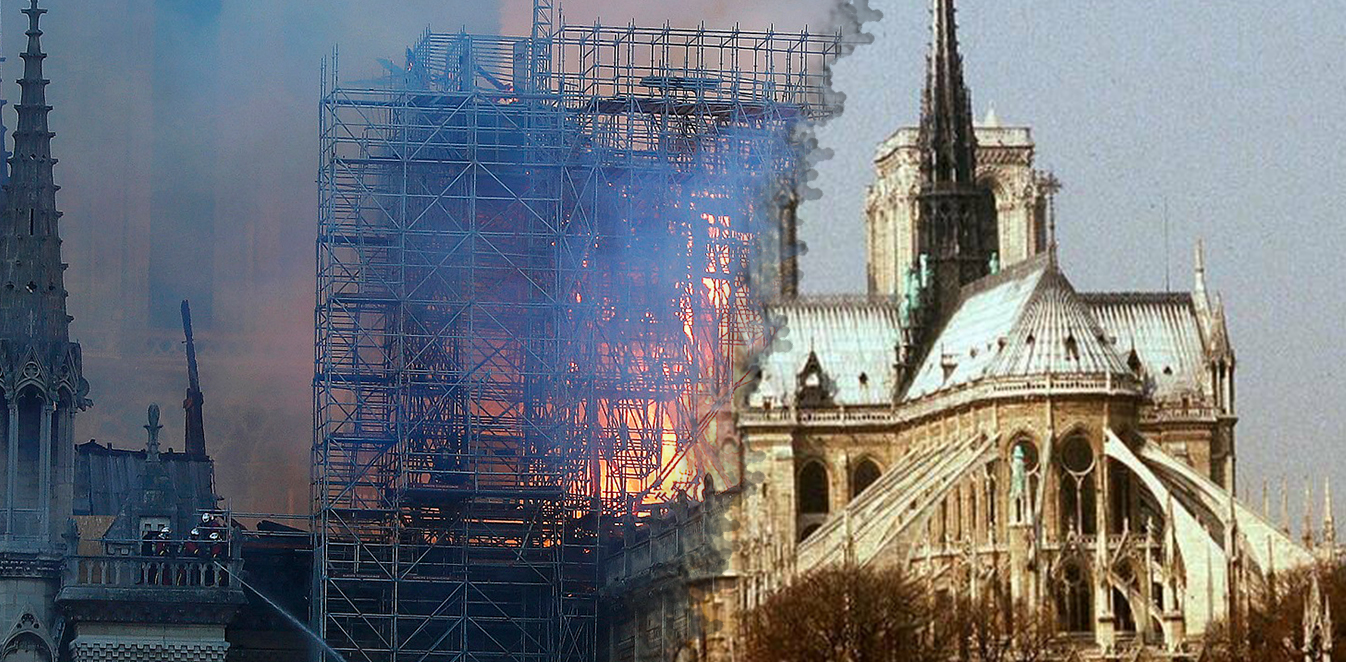 prinmeta3.jpg prinmeta3.jpg