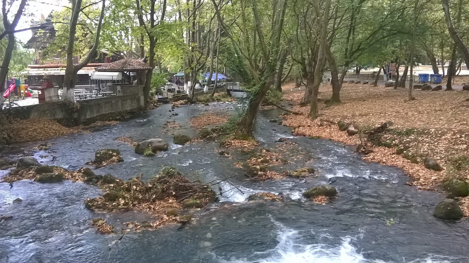 wp_20160822_003.jpg wp_20160822_003.jpg