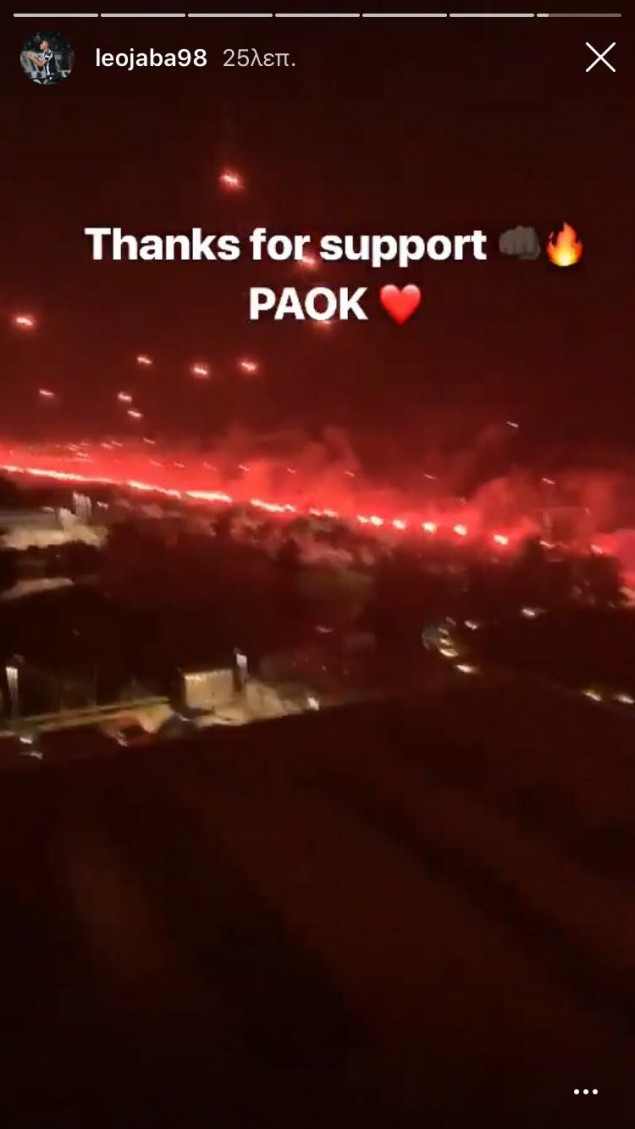 zampa.jpg zampa.jpg