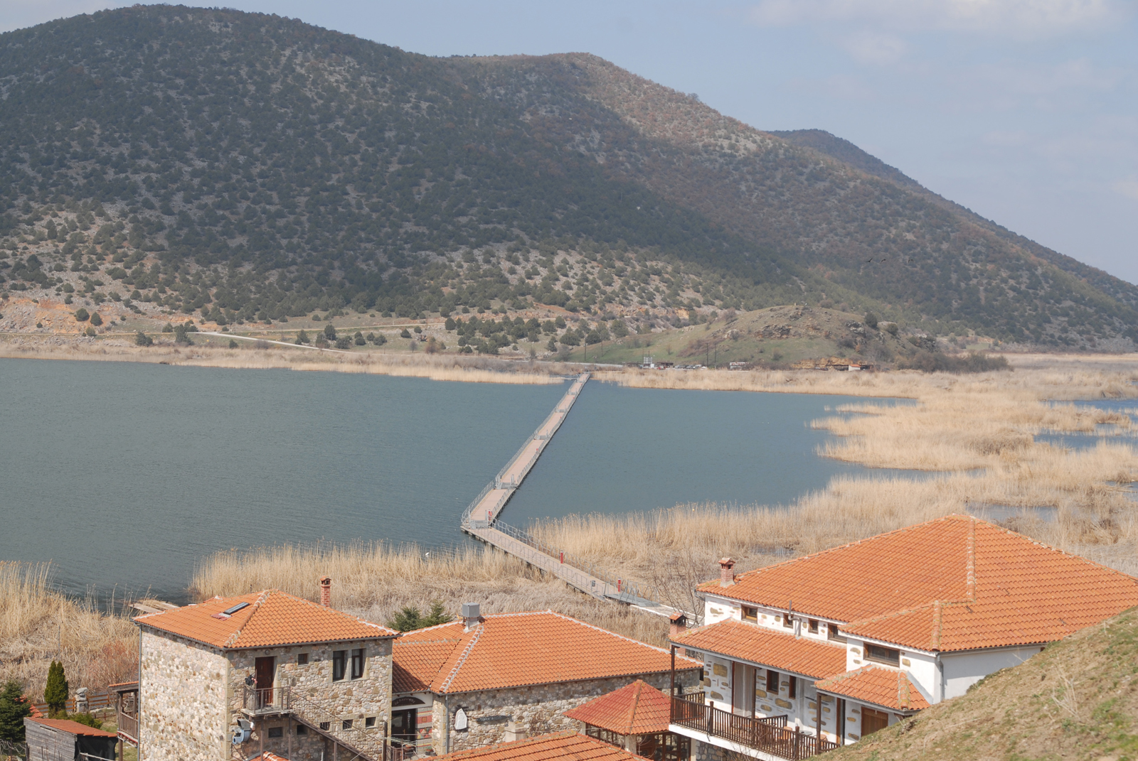dsc_0126.jpg dsc_0126.jpg