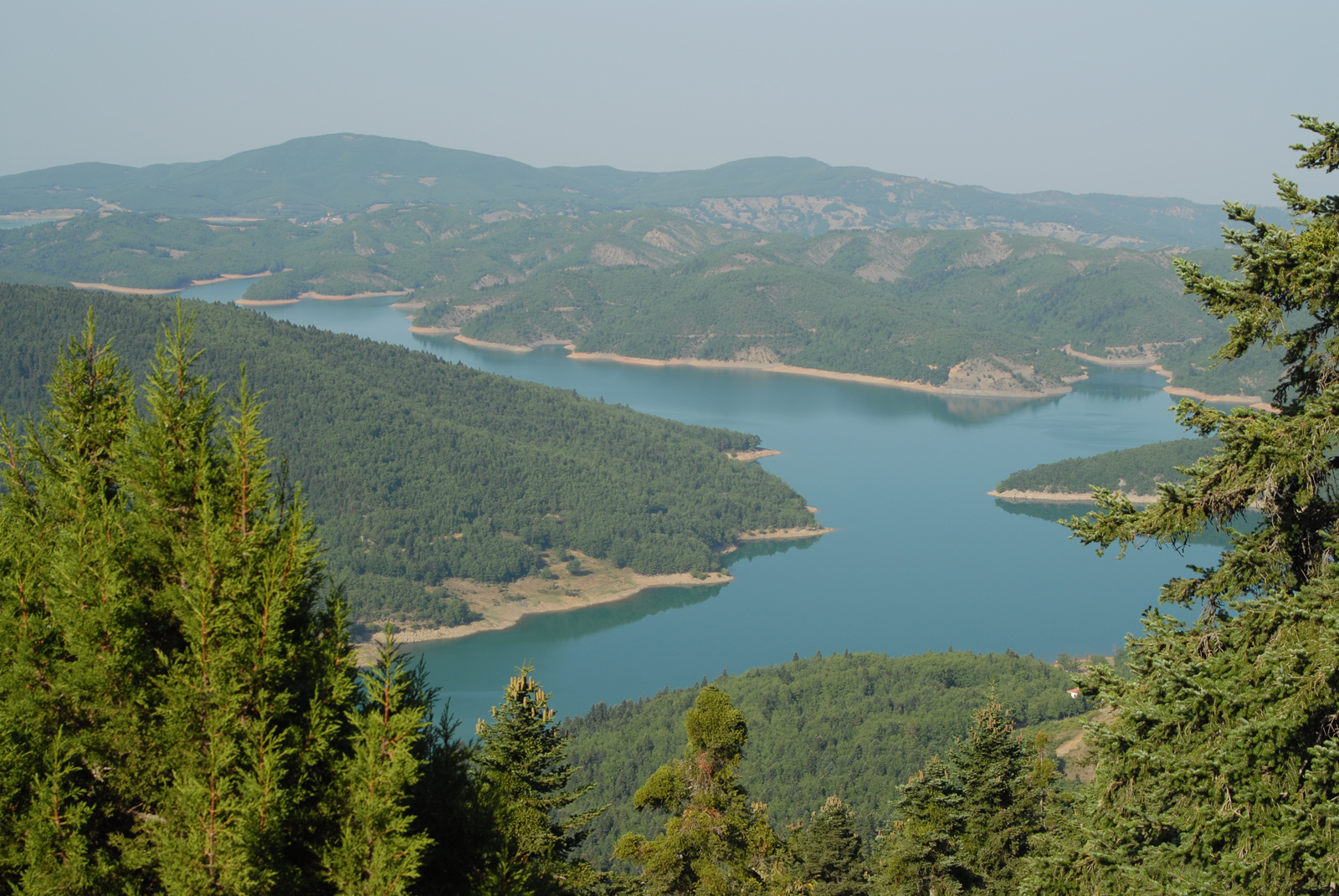 dsc_0128.jpg dsc_0128.jpg