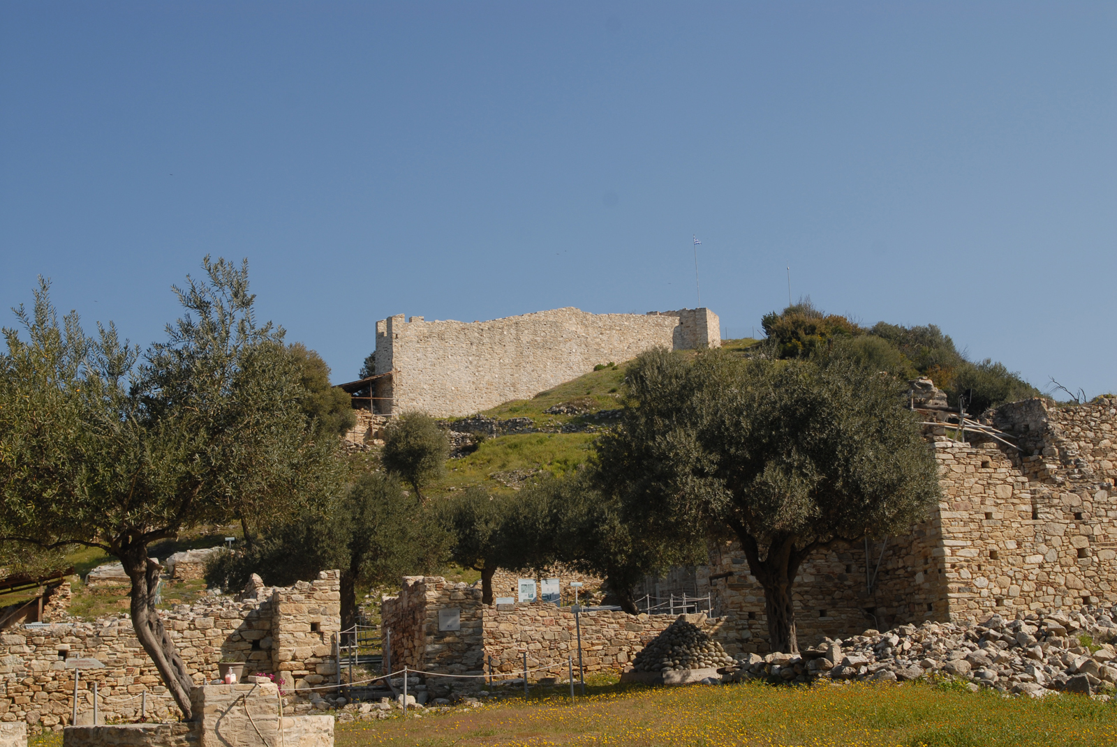 dsc_0194.jpg dsc_0194.jpg