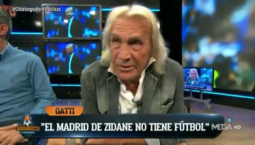 gatti.jpg gatti.jpg