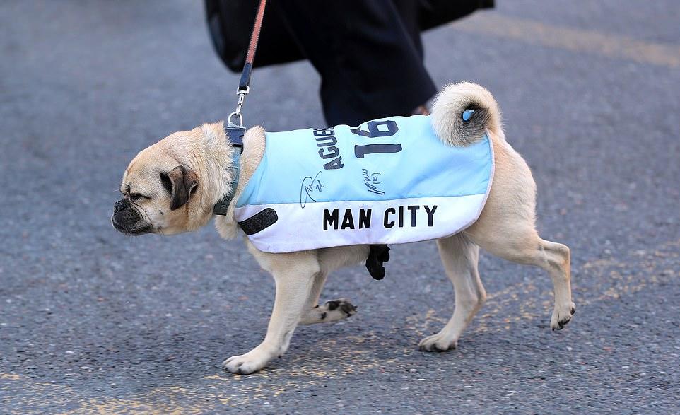 manchester_city-12.jpg manchester_city-12.jpg