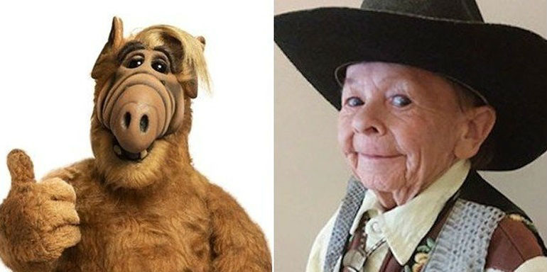 alf.jpg alf.jpg