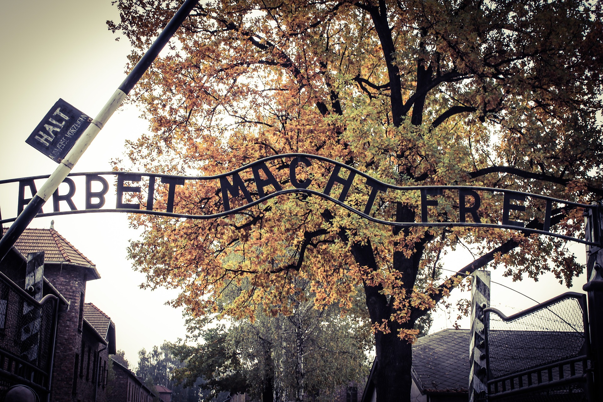 auschwitz-485689_1920.jpg auschwitz-485689_1920.jpg