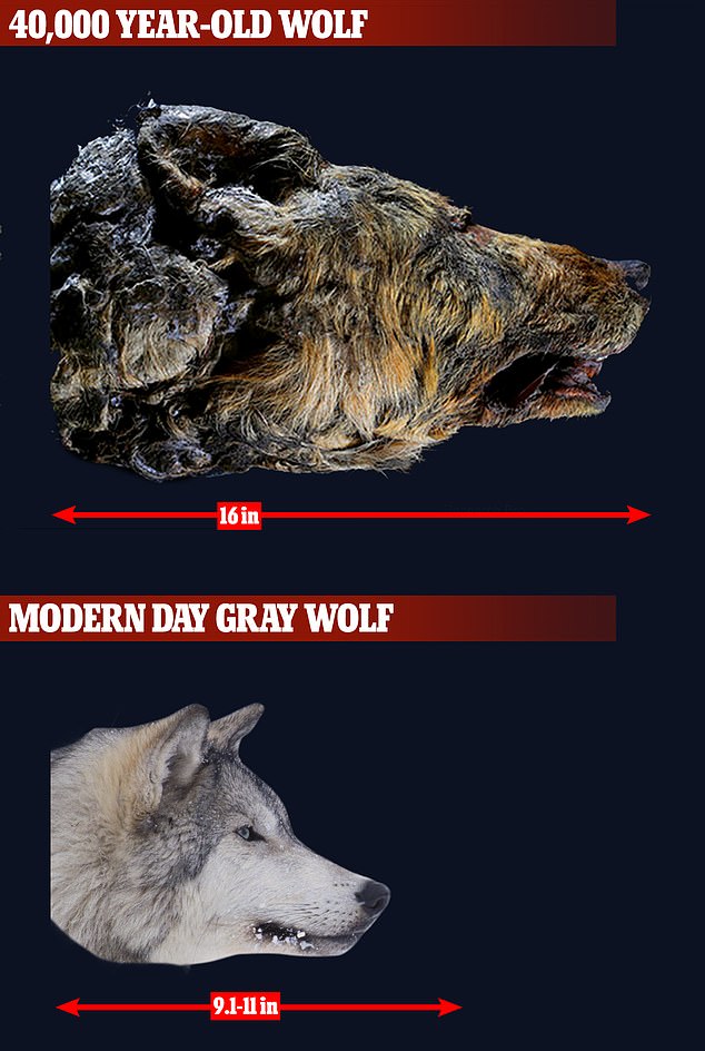 comparison.jpg comparison.jpg