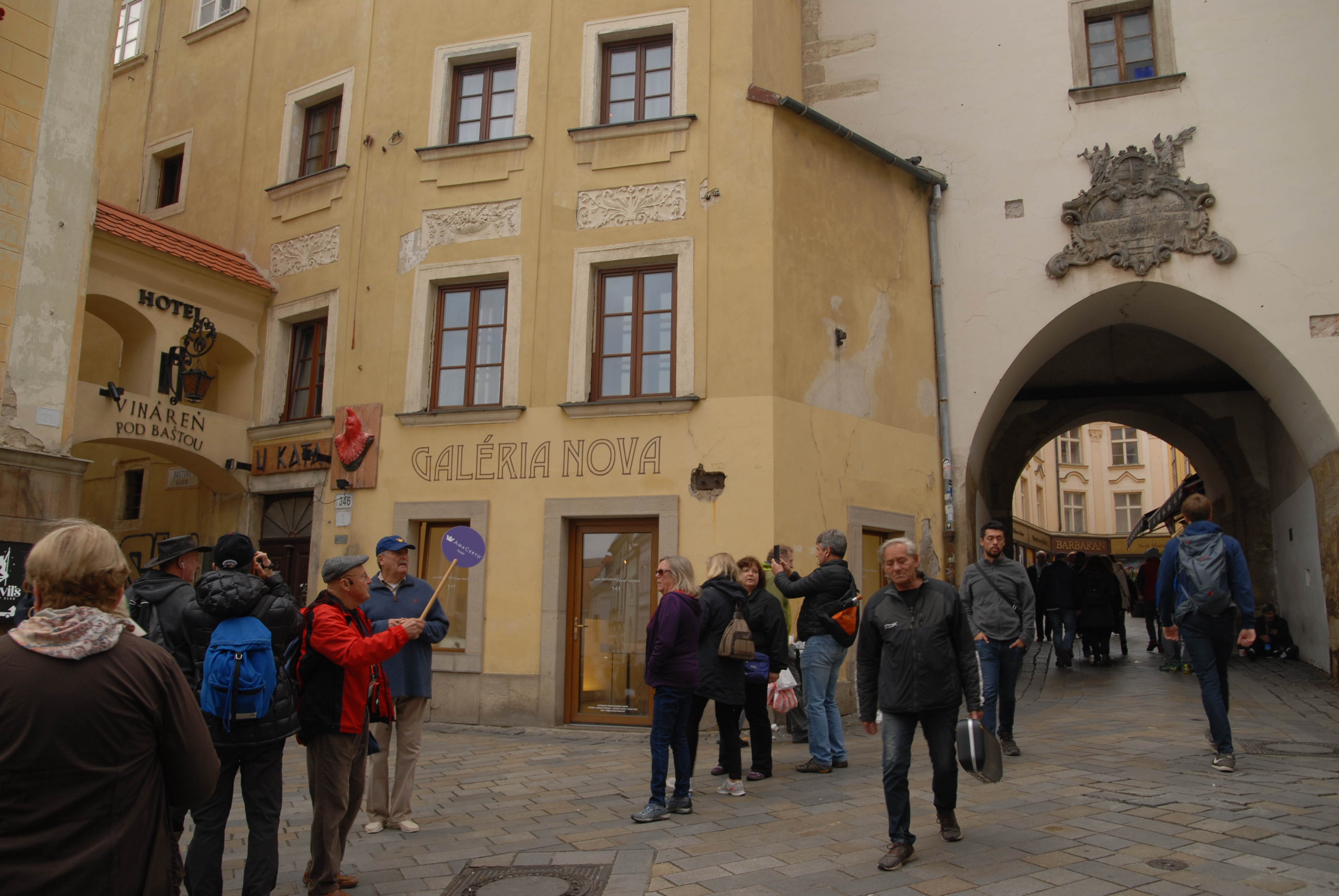 dsc_0071.jpg dsc_0071.jpg