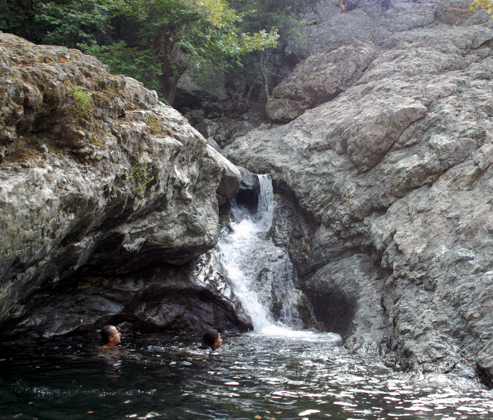 dsc_0401.jpg dsc_0401.jpg