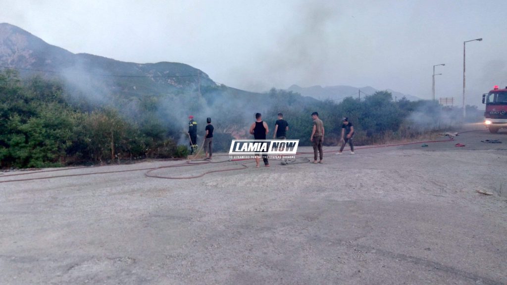 fotia-lamia.jpeg fotia-lamia.jpeg