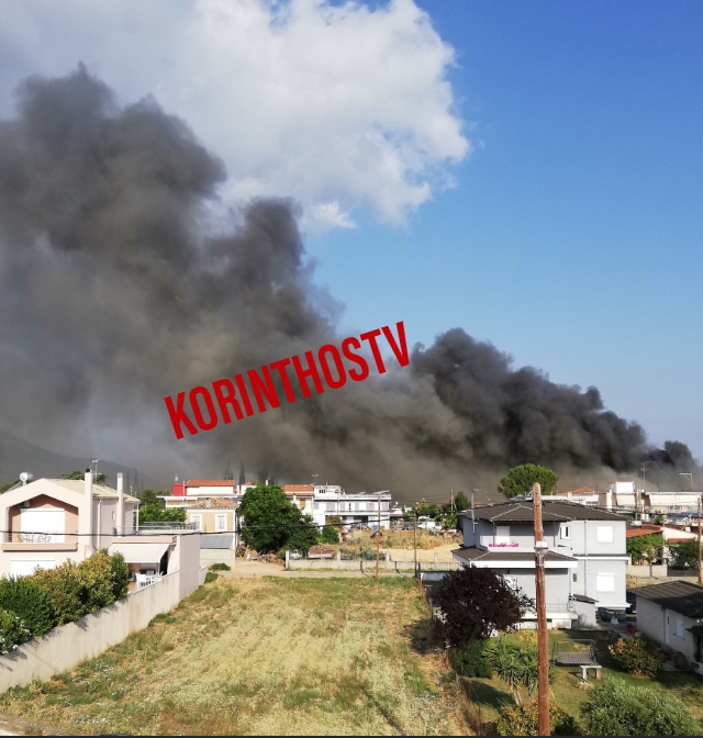 img-7361-1.jpg img-7361-1.jpg