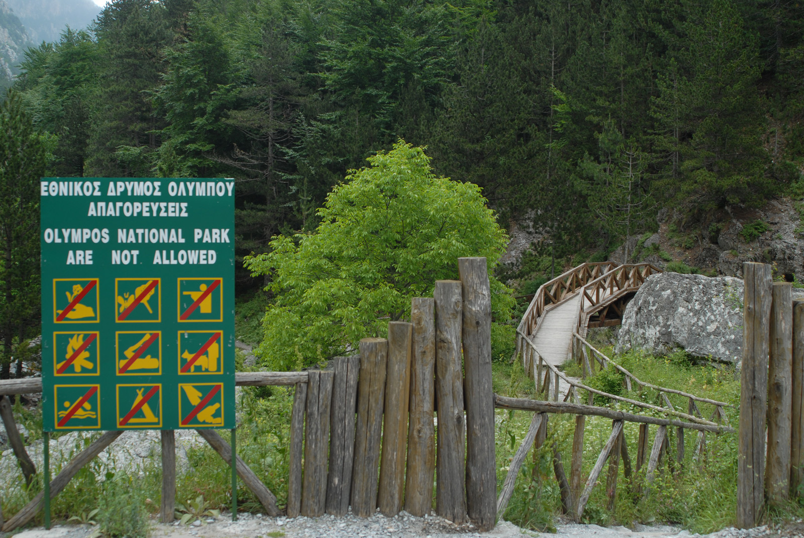 dsc_0240.jpg dsc_0240.jpg