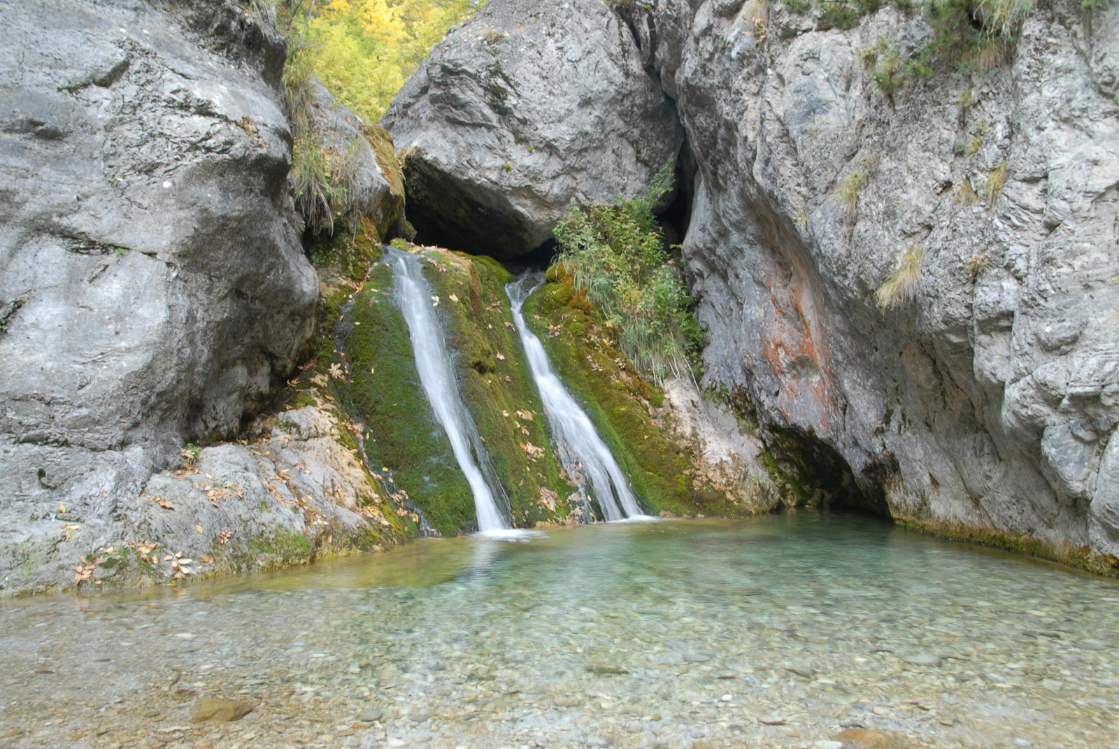 dsc_0246.jpg dsc_0246.jpg